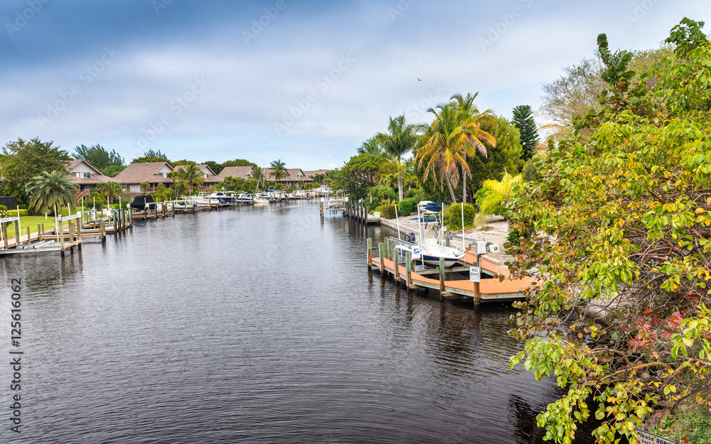 Canals and vegetation of Florida, USA