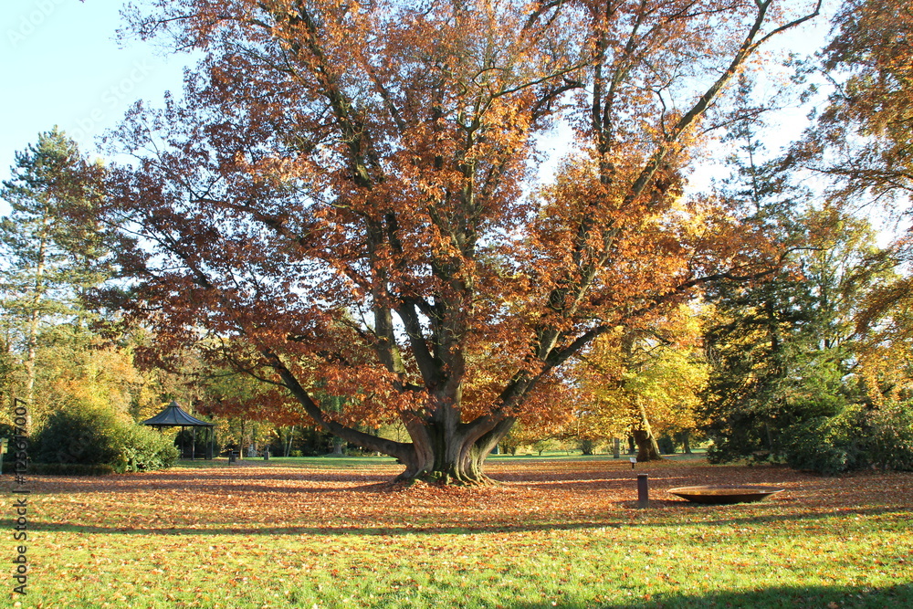 Ein Klostergarten im Herbst