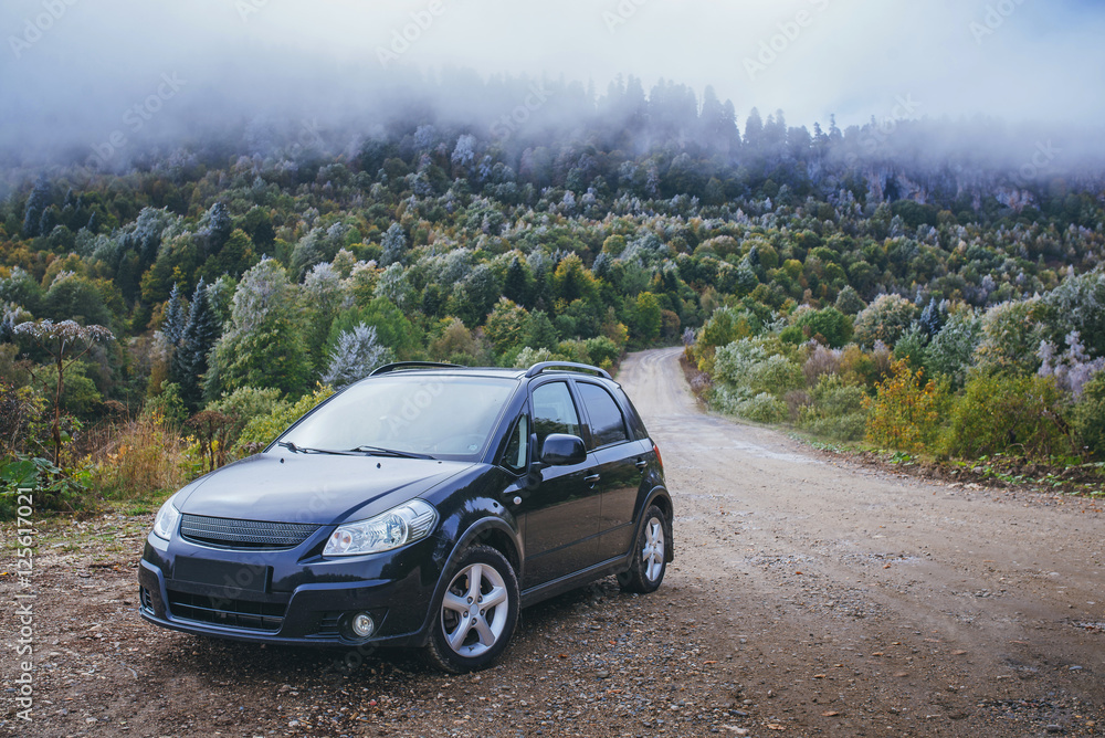 car on a mountain road on the background of spruce forest