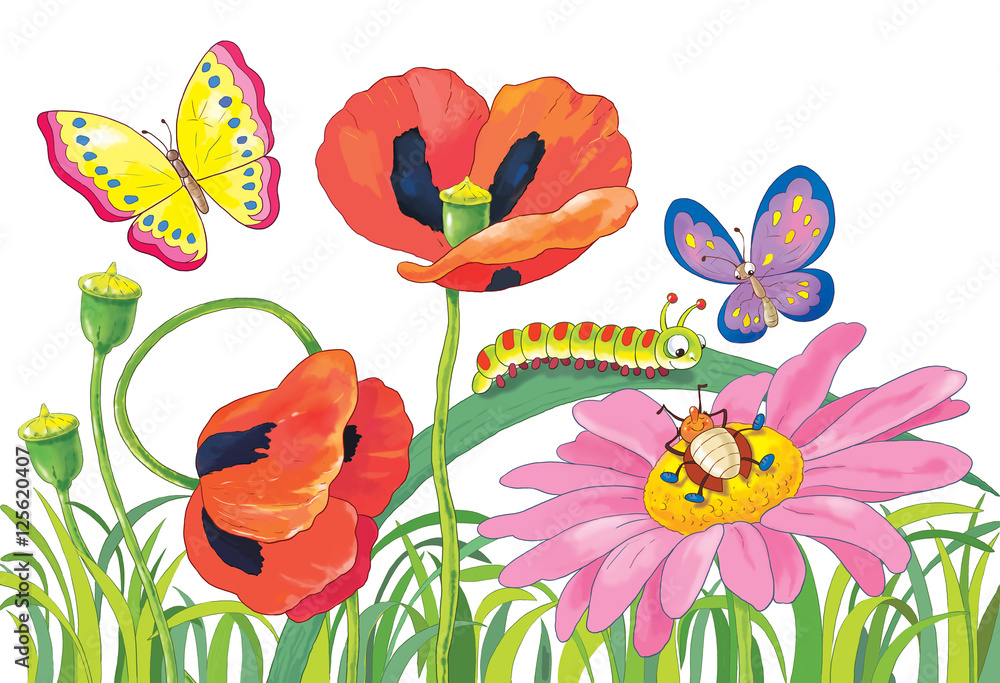 Flowers, butterflies and other insects. Poppies, a daisy and green grass. Summer day. Greeting card.