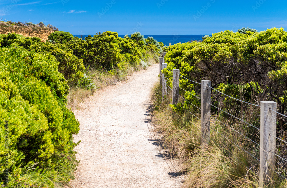 Great Ocean Road Coastline in Victoria State, Australia
