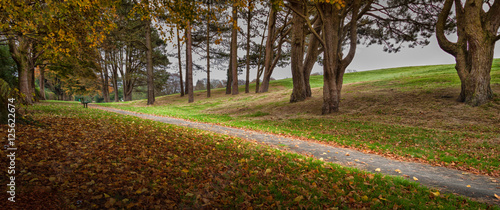 Golden Autumn morning at Ravenhill park in Swansea, South Wales. photo