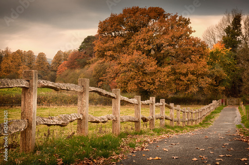Rustic wooden fence
Countryside path and an old rustic countryside fence in Autumn