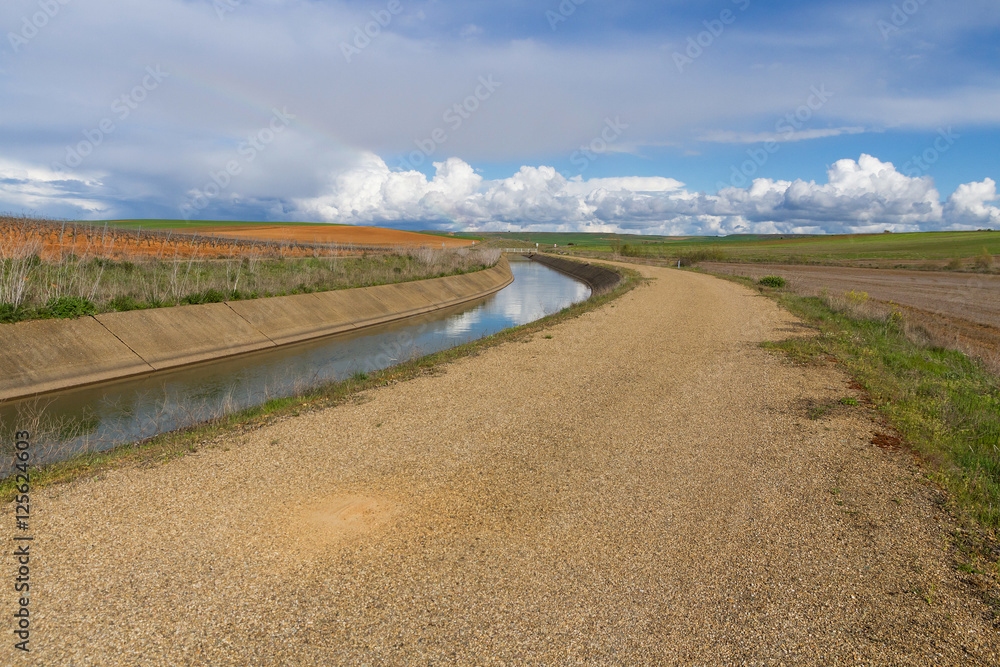 Fototapeta premium Canal de agua para el riego en curva y en paisaje agricola con camino asfaltado en paralelo 
