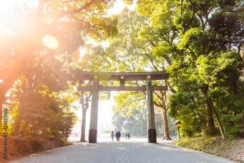 Torii in Yoyogi Park. Tokio. Japan photo