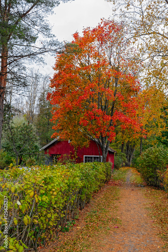 Fall colors in Loviisa, Finland photo