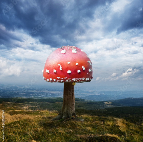Abstract Red Mushroom on Tree Trunk with Dramatic Blue Sky and Mountains