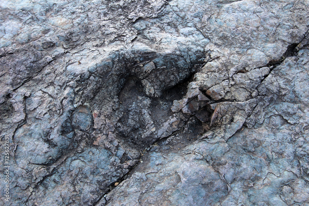 Naklejka premium Huge dinosaur footprints, valley of Maragua, Bolivia