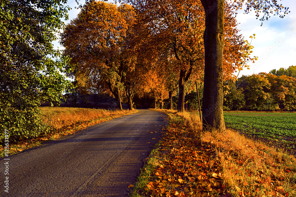 Obraz premium herbstliche Strassen