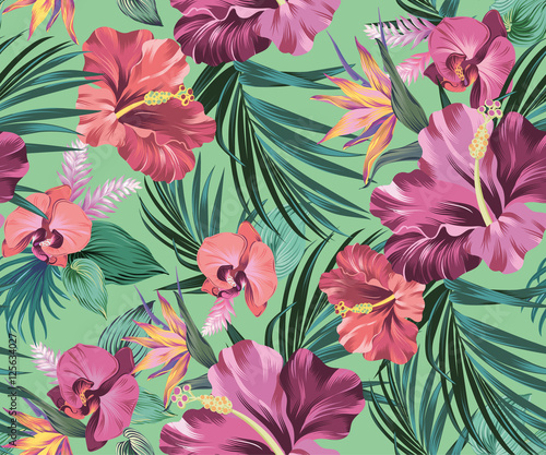 hibiscus vector pattern with amazing flowers