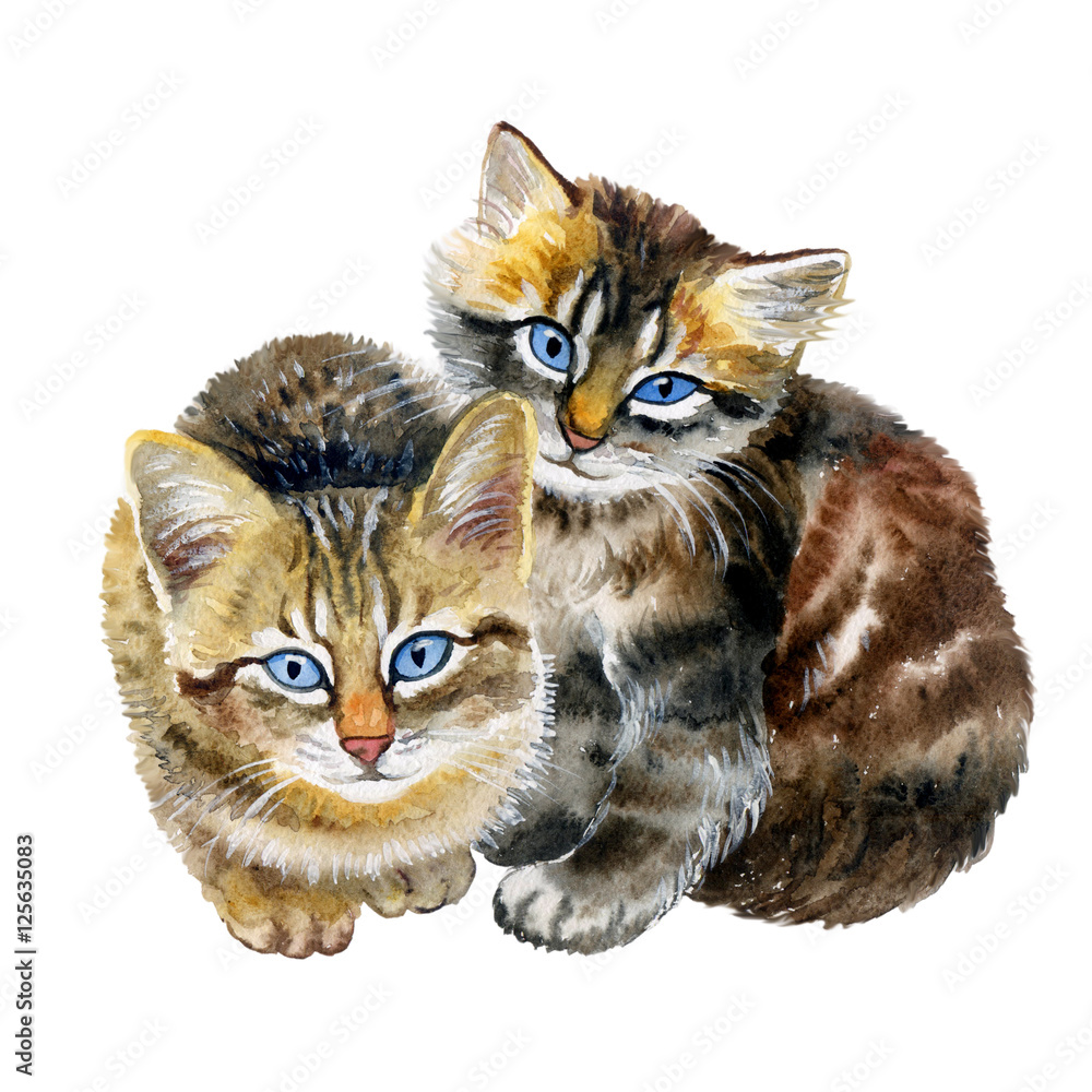 Watercolor close up portrait of cute shorthair kittens isolated on ...