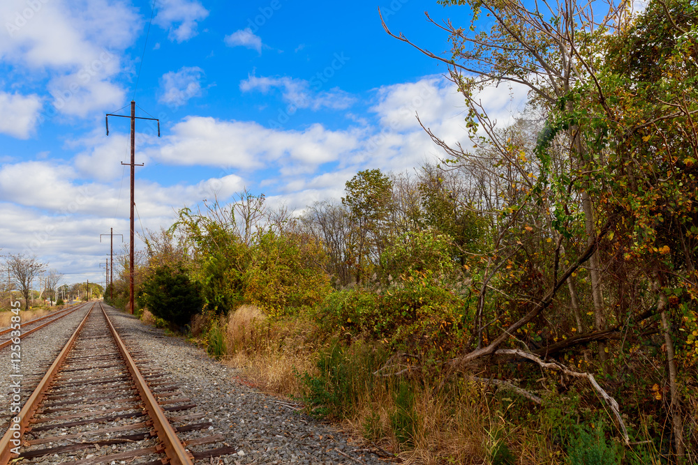View of the railway receding into the distance through the trees. View of the railway receding into the distance through the trees.