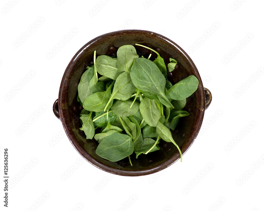 Spinach organic baby leaves in berry bowl isolated on white background Spinach organic baby leaves in berry bowl isolated on white background