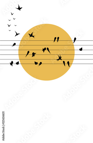  Swallows Symphony on the sun
