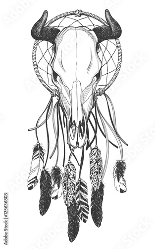 Bull skull with feathers and dreamcatcher.