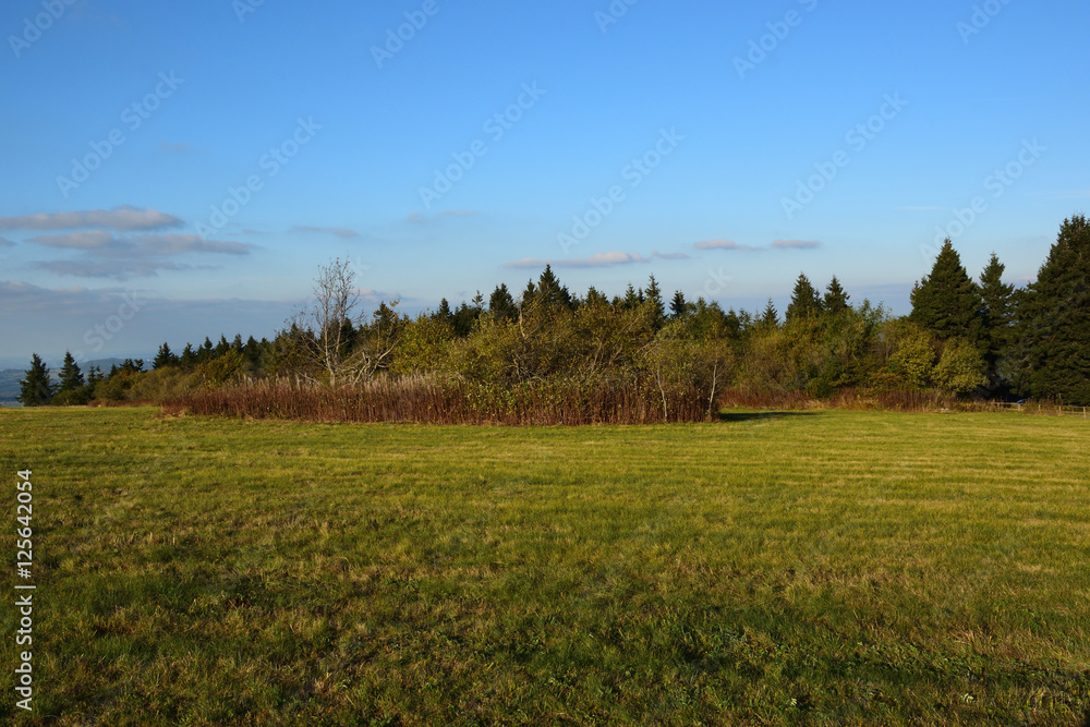 Obraz premium Coloful Autumn Landscape
