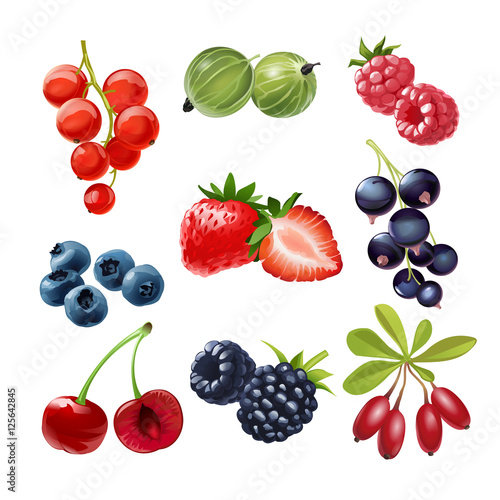 Set of vector icons  juicy ripe berries