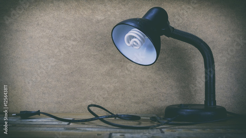 Office lamp, lamp on a wooden table, a lamp from fixture