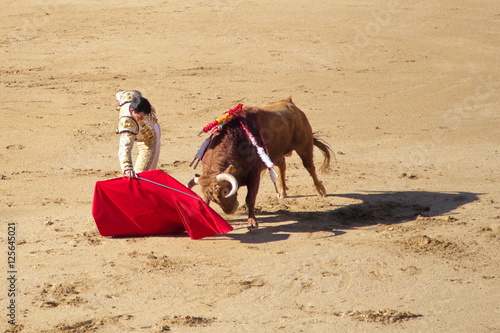 Bullfighting in Madrid