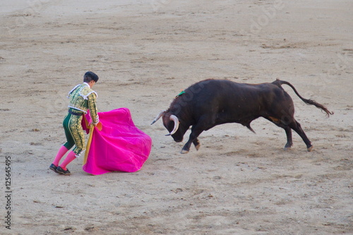 Bullfighting in Madrid