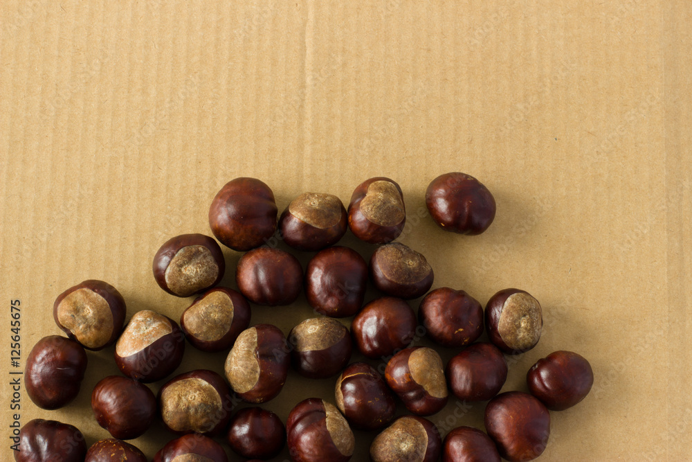 Obraz premium Horse chestnut on a background of cardboard