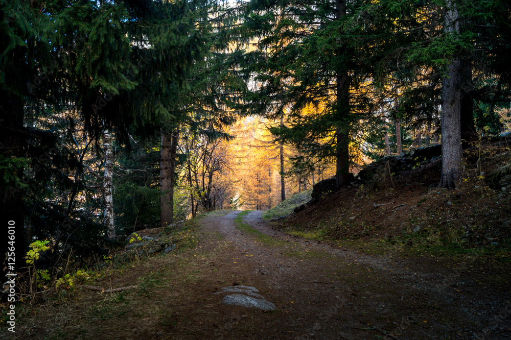 Obraz premium colorful mountain landscapes, fall colors, mountains, sky and water