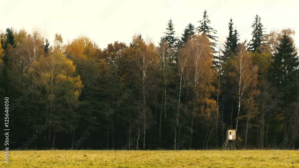 Hunt tower near the forest. Autumn Hunt tower near the forest. Autumn
