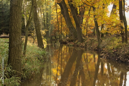 Rzeka jesienią.