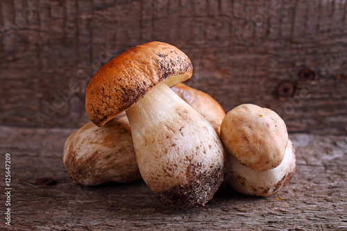 White mushrooms on a wooden background