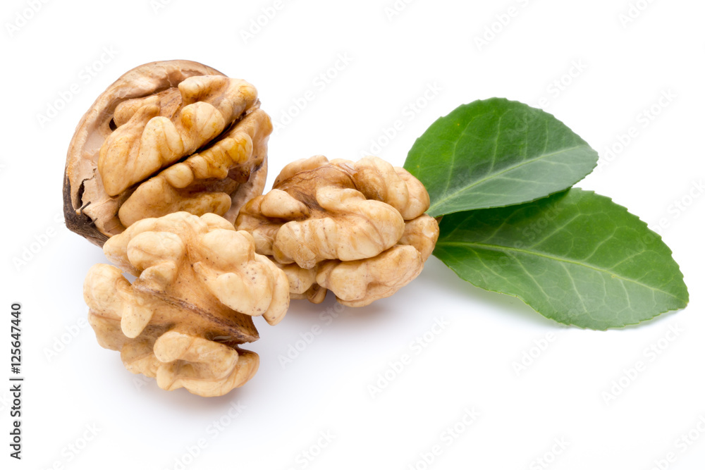 Walnut and walnut kernel isolated on the white background. Walnut and walnut kernel isolated on the white background.