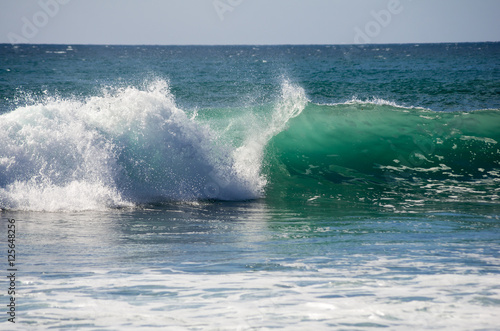 Ocean wave © gumbao