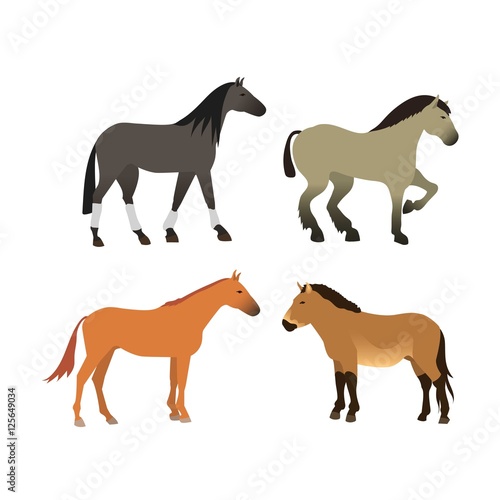 Horse vector isolated animal.