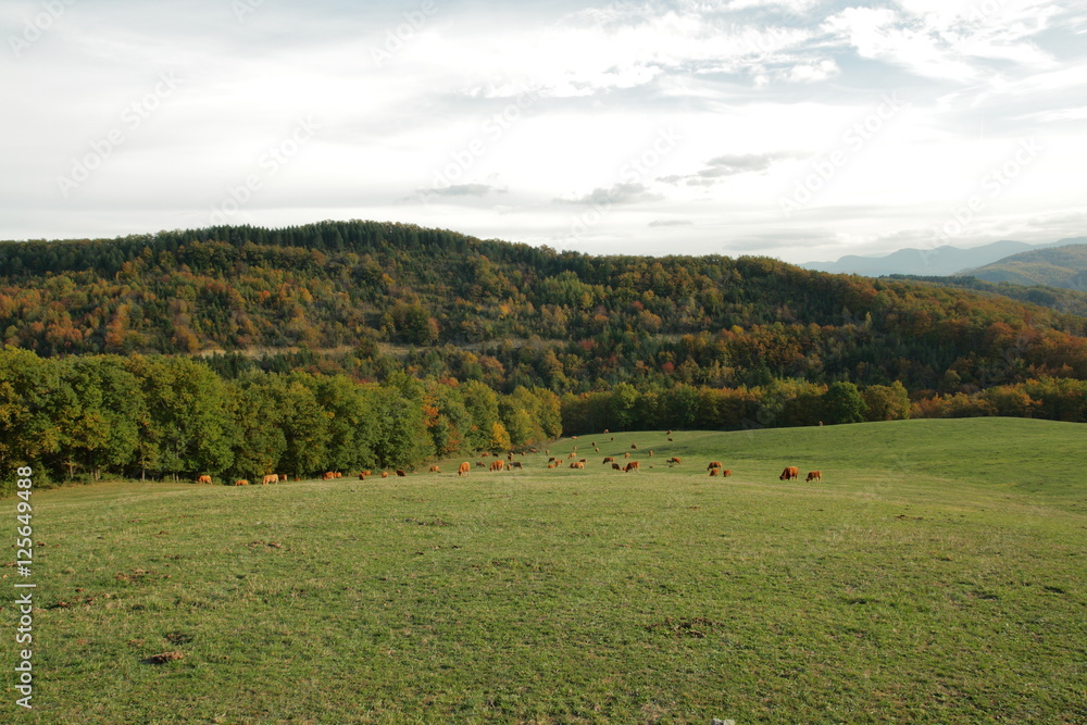 Paysages d'automne dans le Razès,France