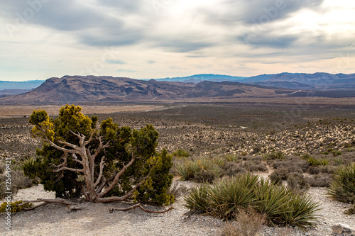 Photography Clouds in the Desert, Red Rock Canyon