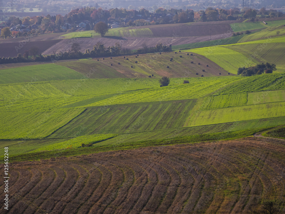 Agrarlandschaft im Herbst