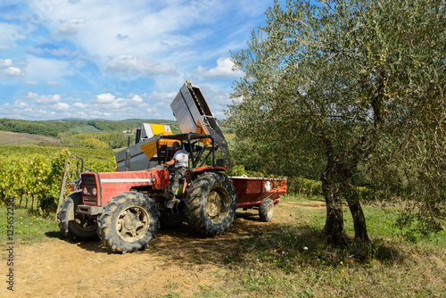 Weinlese in der Toskana mit Traubenvollernter