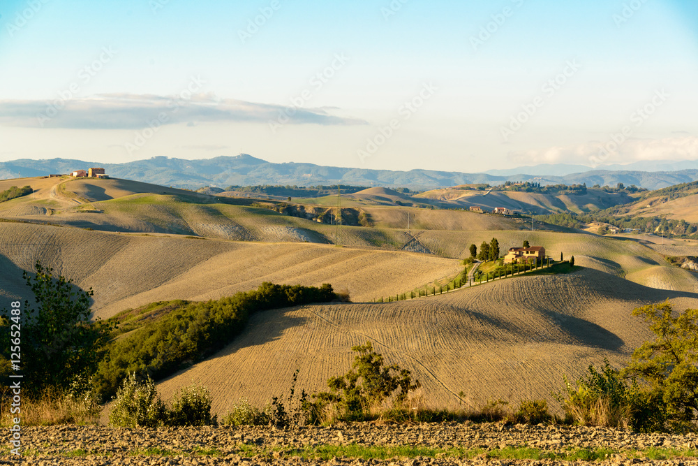 Die Hügel der Crete mit abgeernteten Feldern Toskana