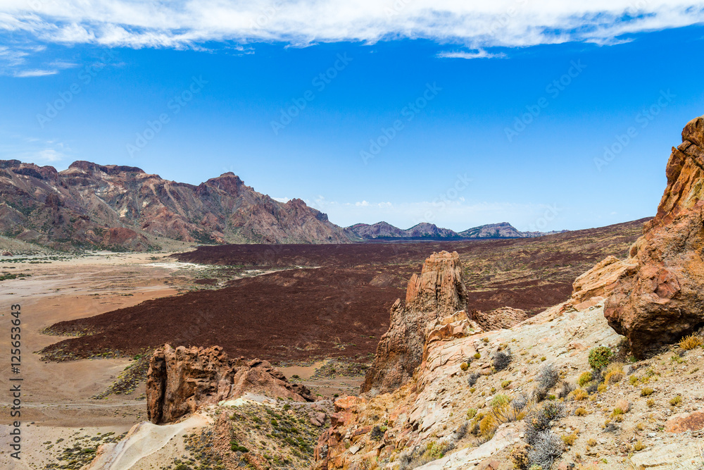 Fototapeta premium Volcanic landscape with erosion and sparse vegetation, Teide National Park. Tenerife, Canary islands, Spain