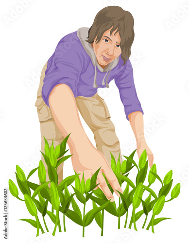 Vector of man plucking vegetables.