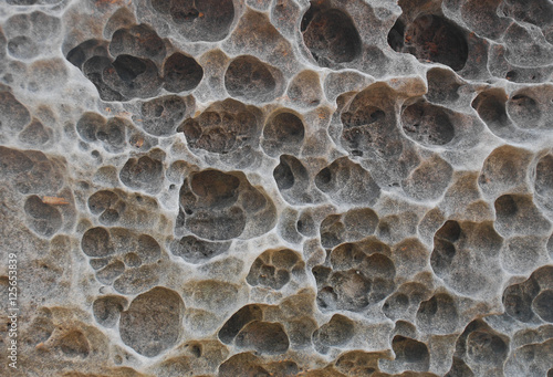 Принти на полотні Close-up of coral sediment petrified.