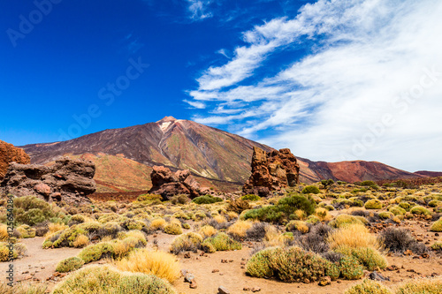 Landscape of Teide National Park, Tenerife, Canary Island, Spain