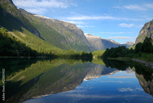 Fjord in the middle of green mountains