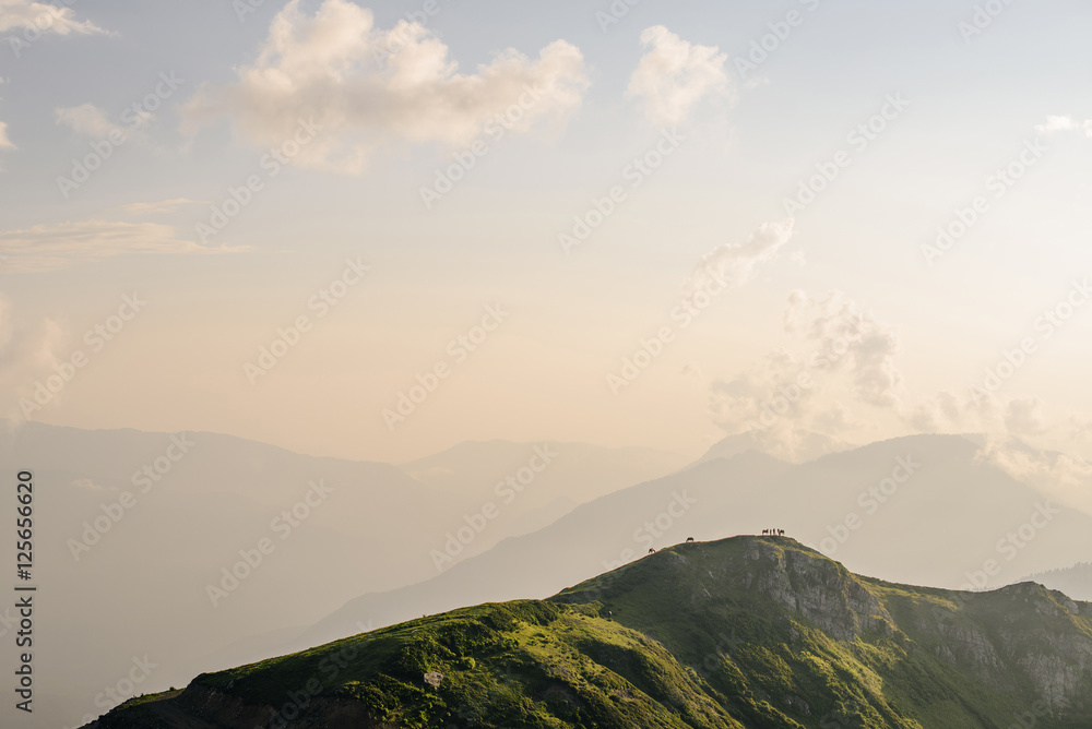 Caucasus Mountains in Rosa Khutor Caucasus Mountains in Rosa Khutor