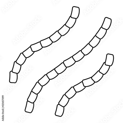 Escherichia coli icon. Outline illustration of escherichia coli vector icon for web