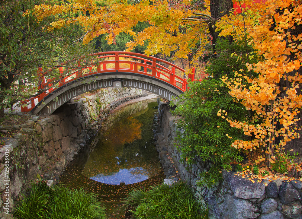 Colorful japanese autumn