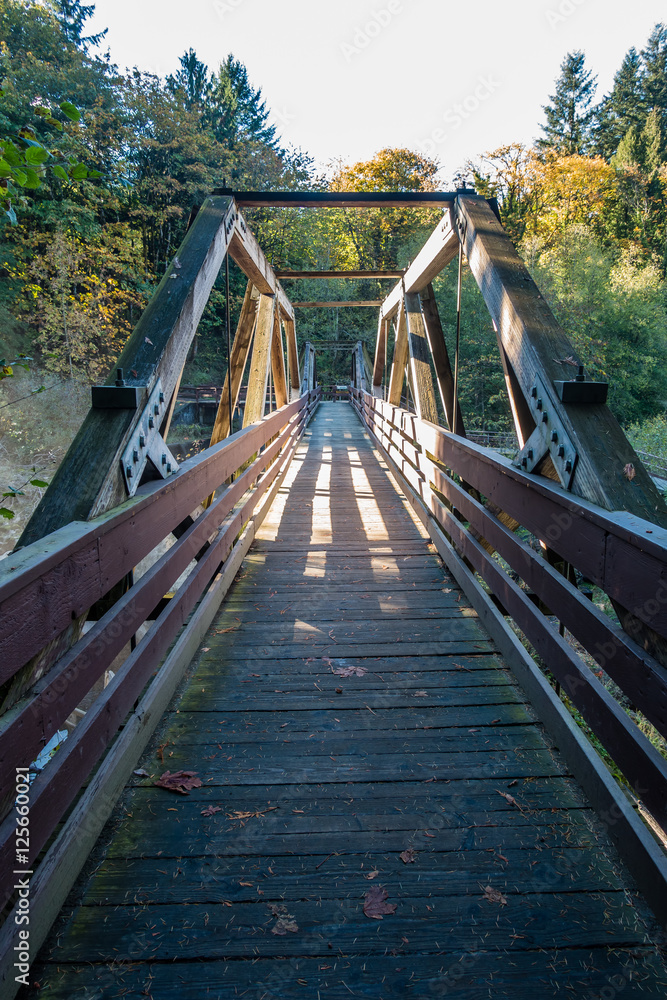 Walking Bridge At Tumwater Falls