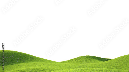 Green field. 3D rendering