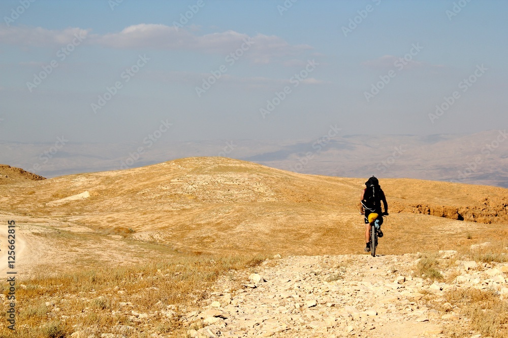 Cyclist in Desert