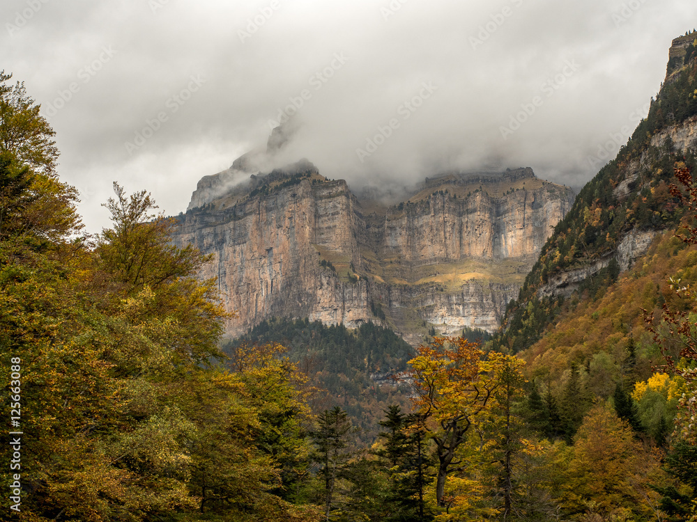 Beautiful and foggy valley in autumn in Pyrenees (Spain)