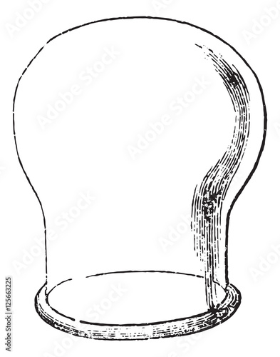 Suction cup or Sucker, vintage engraving.